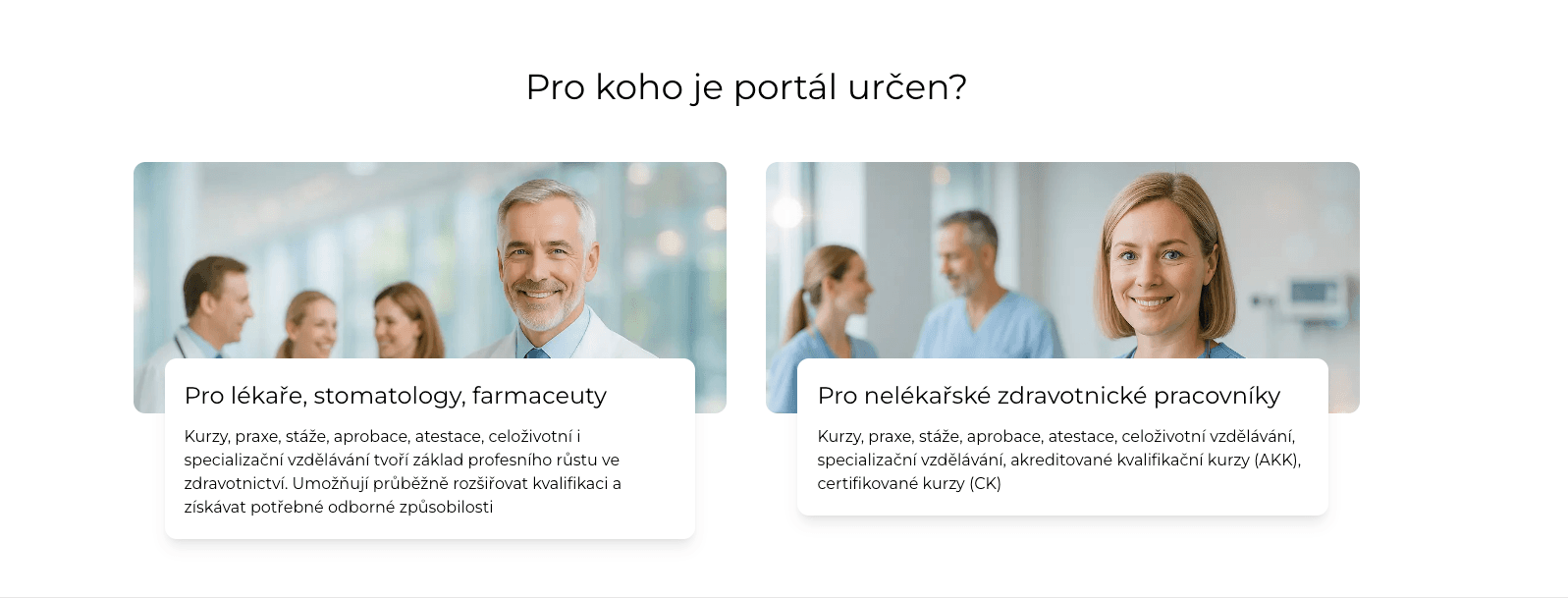 IPVZ Portál ukázka 2